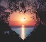 Comercio – IES La Rosaleda